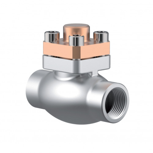 Most Common Herose Check Valves Stainless Steel Body, Bronze Cap, Model 05416