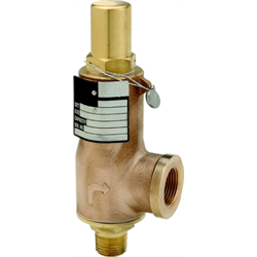 Cryogenic Safety Valve