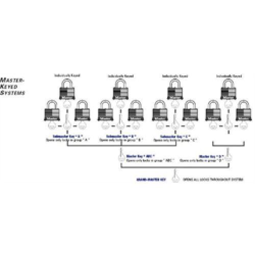 Padlocks - Keyed Differently