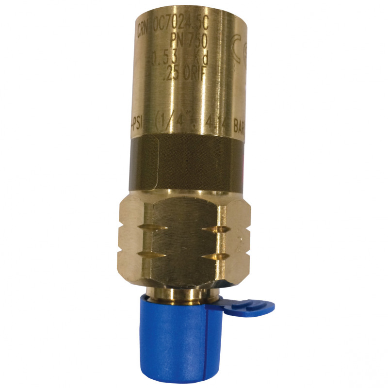 60 psi safety valve manufacturer